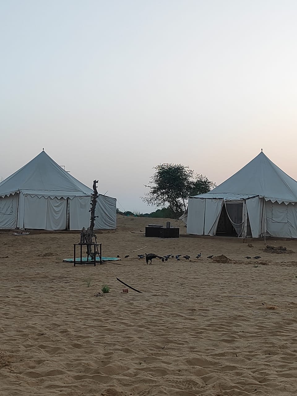 Camp Bliss Jaisalmer